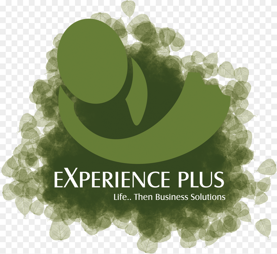 Experience Plus Icon Logo, Green, Plant, Vegetation, Advertisement Free Png Download