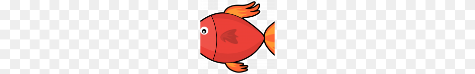 Expert Clipart Pictures Of Fish Images Download Clip Art, Animal, Sea Life Png