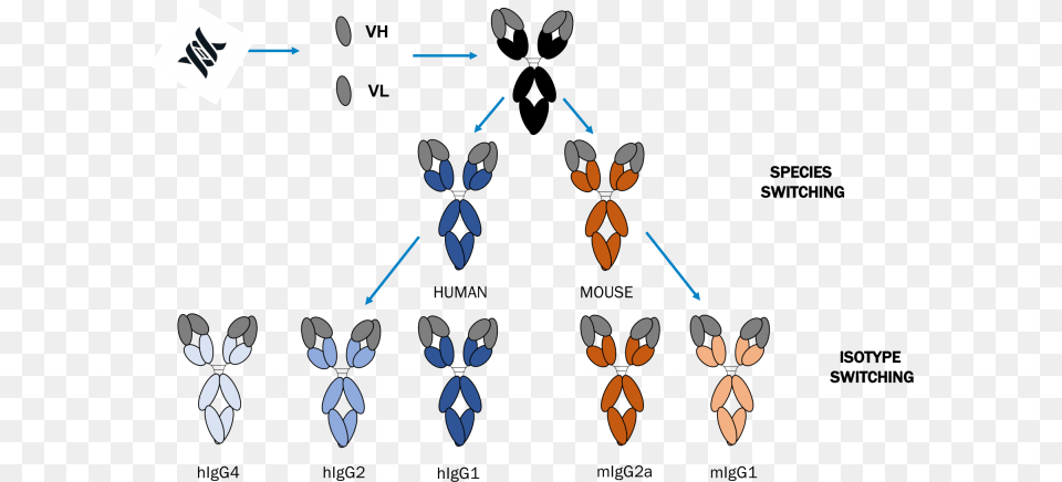 Expertise Working With A Wide Range Of Antibody Formats, Symbol, Recycling Symbol Free Transparent Png