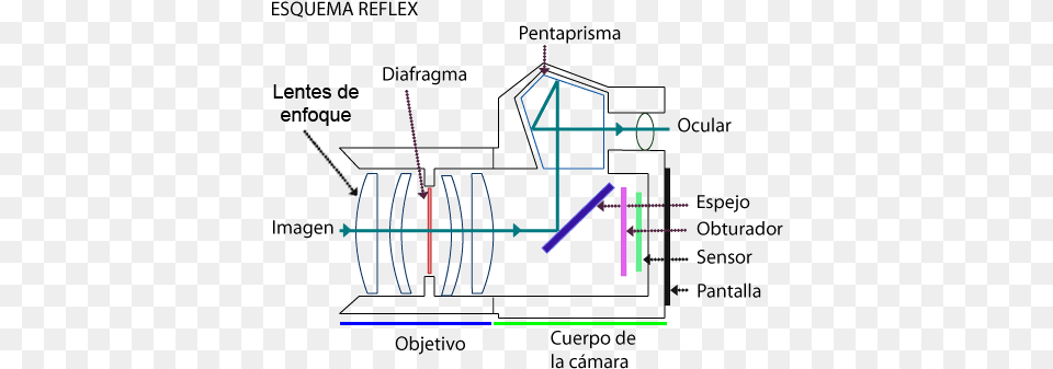 Explicado El Funcionamiento Un Poco Por Encima Consiste Partes De La Camara Reflex, Cad Diagram, Chart, Diagram, Plot Free Png