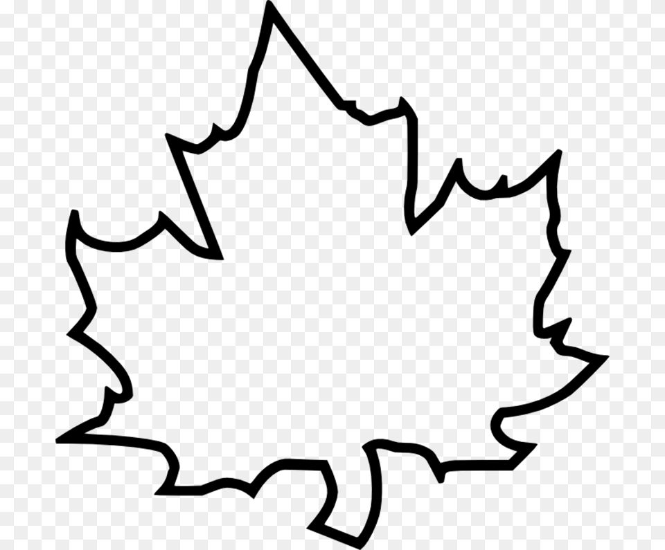 Explore Maple Leaves Autumn Leaves And More Large Leaf Template, Gray Free Transparent Png
