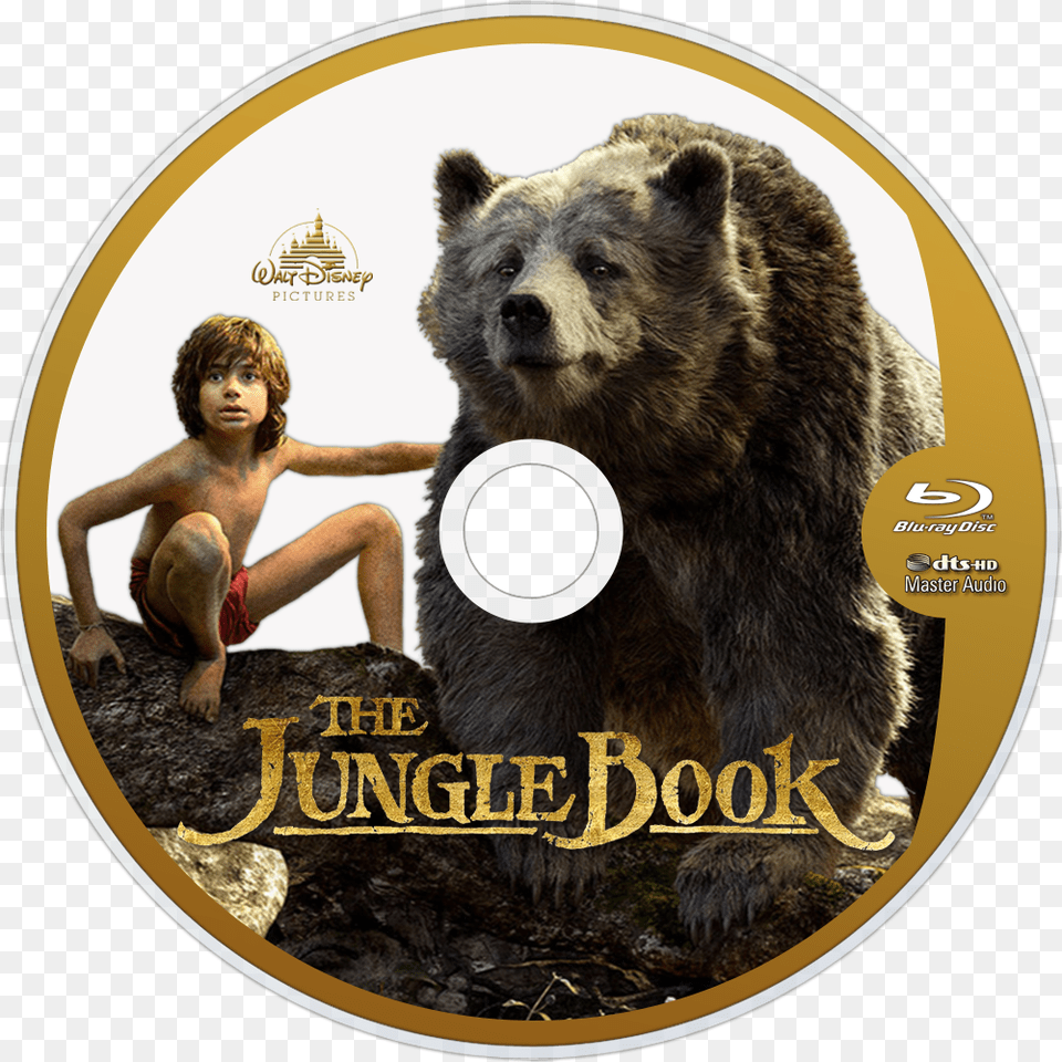 Explore More In The Movie Category Jungle Book, Animal, Bear, Mammal, Wildlife Free Transparent Png