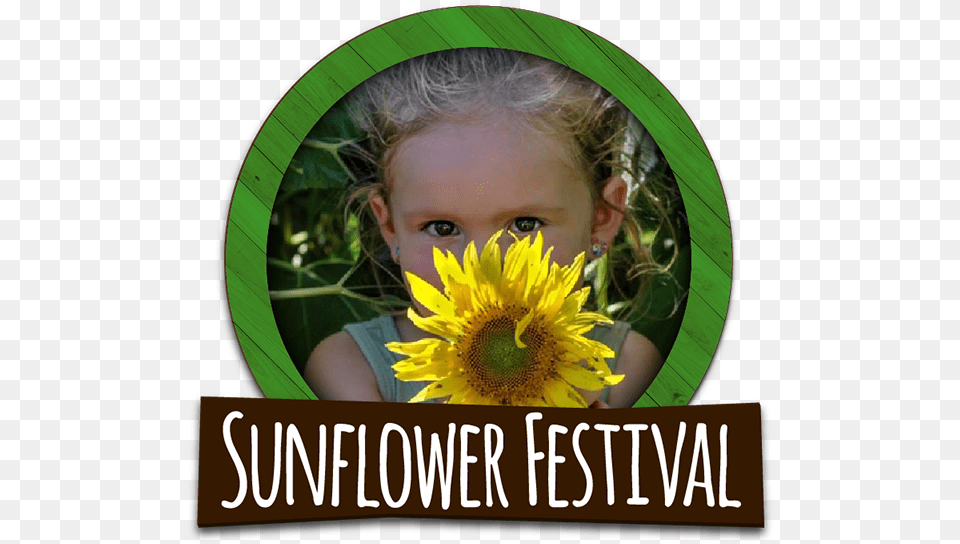 Explore Our Sunflower Fields During Our Annual Sunflower Sunflower, Portrait, Plant, Photography, Person Png Image