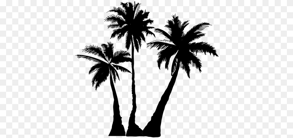 Explore Palm Tree Clip Art Black Silhouette And More, Gray Free Png Download
