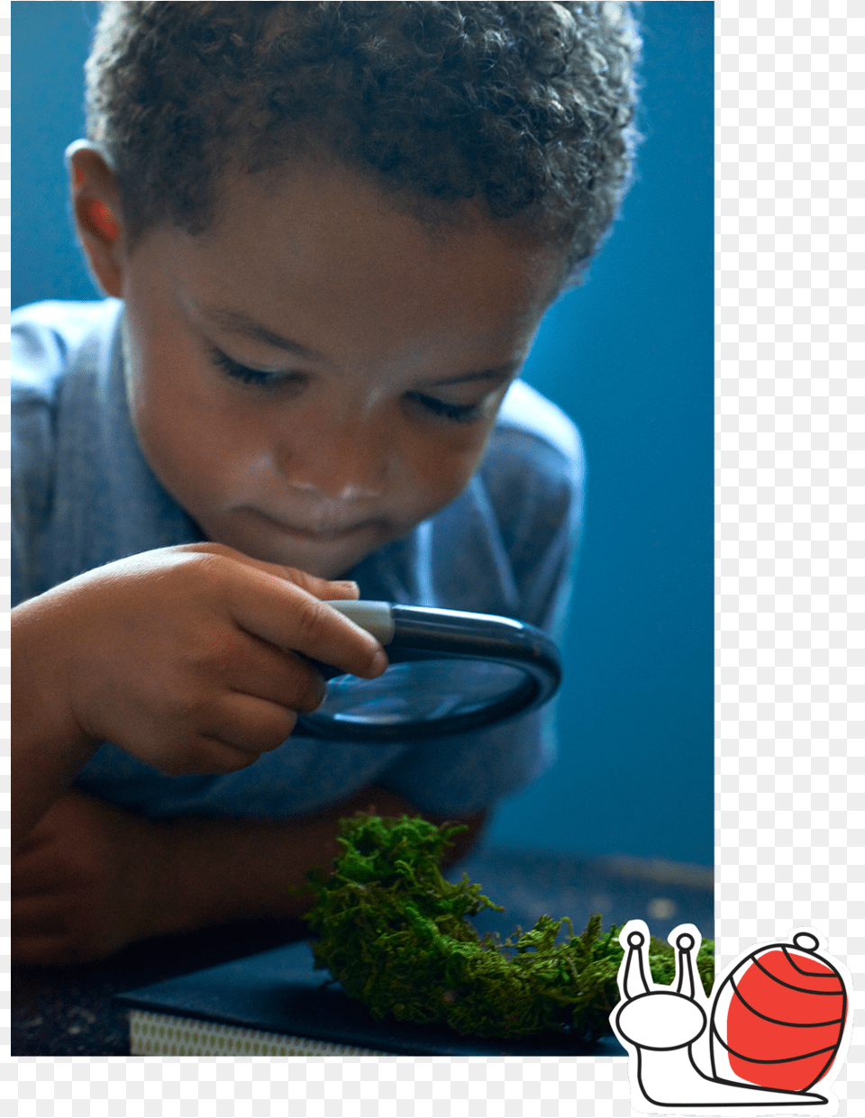 Explore The Village Pre School Child, Body Part, Moss, Male, Photography Png Image