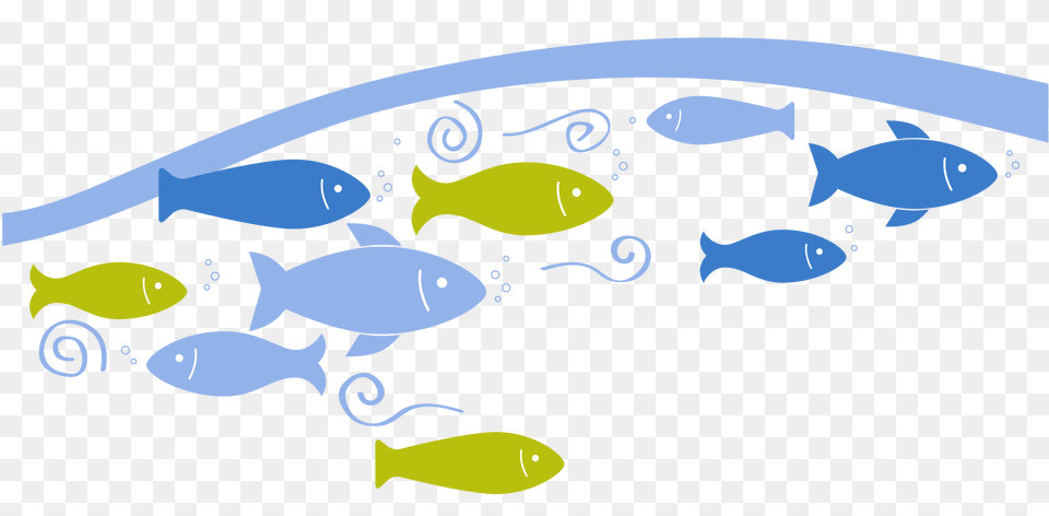 Exploring Downstream Iriss, Animal, Fish, Sea Life, Aquatic Free Transparent Png