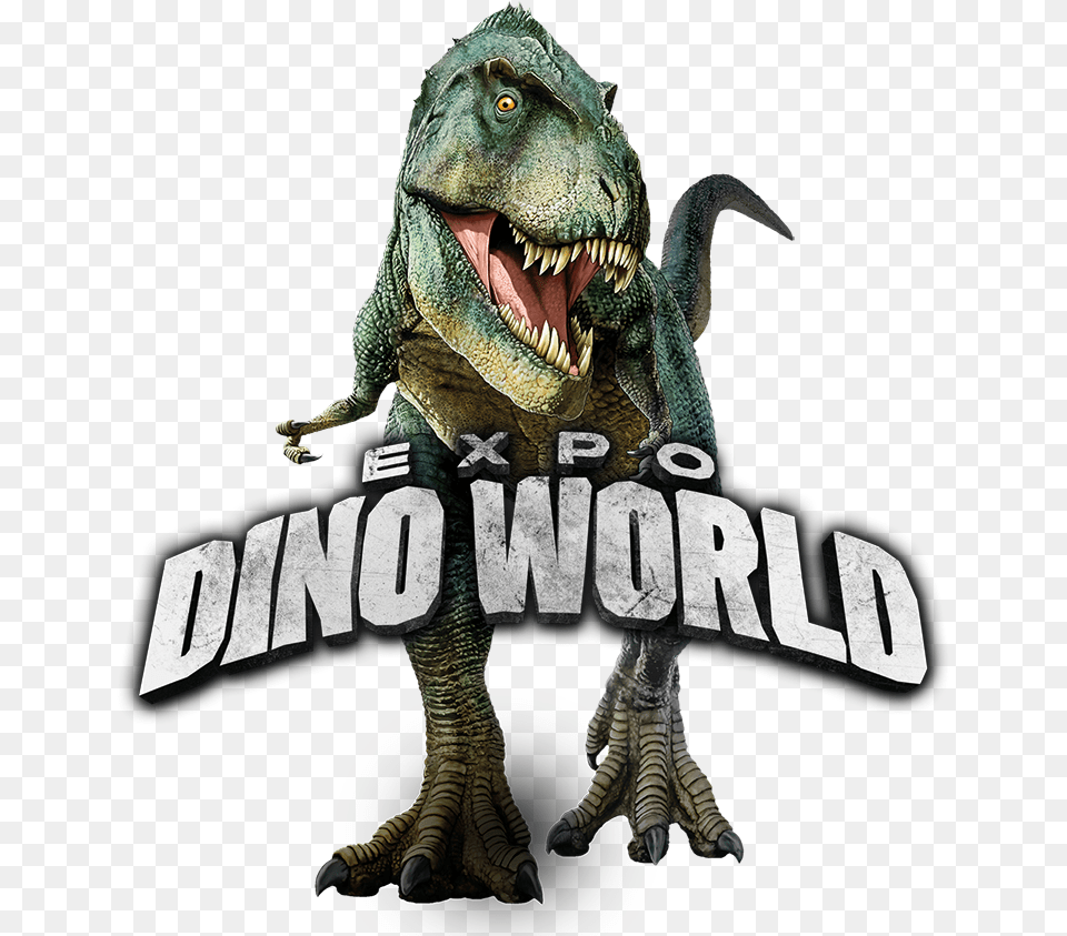 Expo Dino World Dinosaur, Animal, Reptile, T-rex Png Image