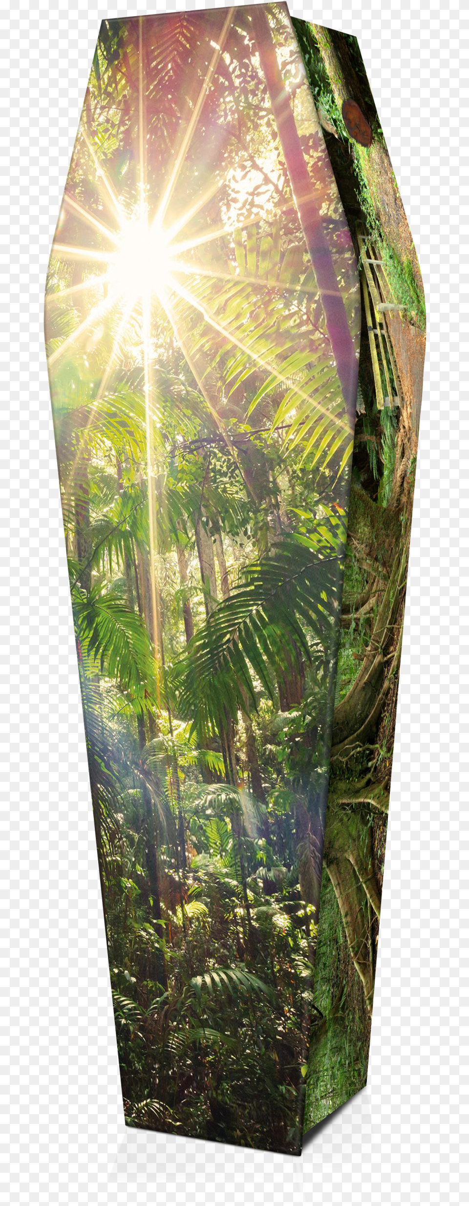 Expression Cofins Pencil Skirt, Flare, Vegetation, Tree, Sunlight Png Image