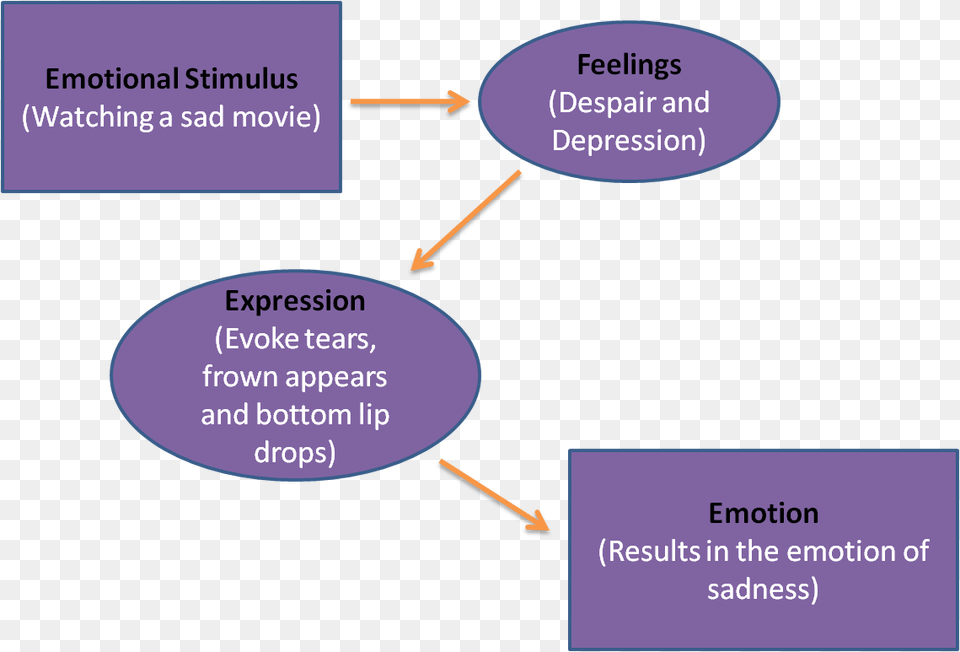 Expression Feeling Link Facial Feedback Theory Of Emotion Psychology, Diagram, Uml Diagram Free Png Download