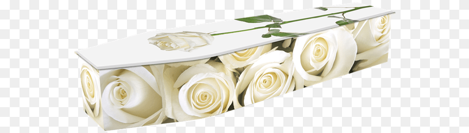 Expression Flowers Coffin Design, Rose, Plant, Flower, Flower Arrangement Png Image