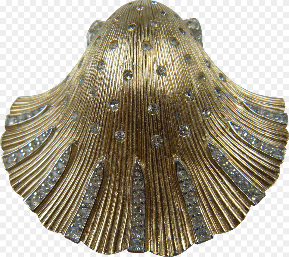Exquisite Clam Shell Motif Features A Brushed Gold Fresh Focus, Animal, Food, Invertebrate, Sea Life Free Transparent Png