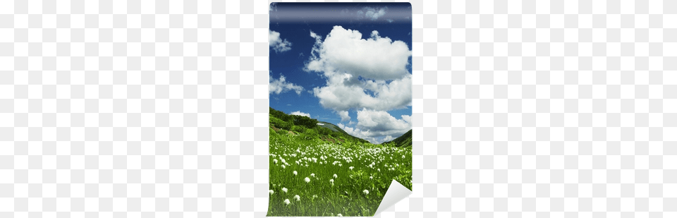 Extended Range Photo Realistic Backdrop, Cloud, Sky, Rural, Outdoors Png