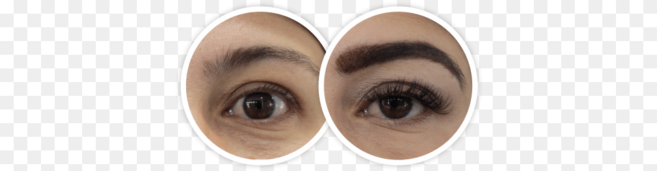 Extensin De Eye Liner, Person, Head, Face, Contact Lens Free Png