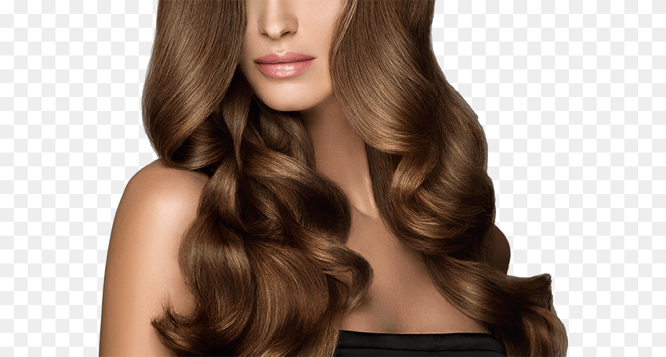 Extensions Web Extensiones De Cabello Natural Gala, Adult, Female, Person, Woman Png Image