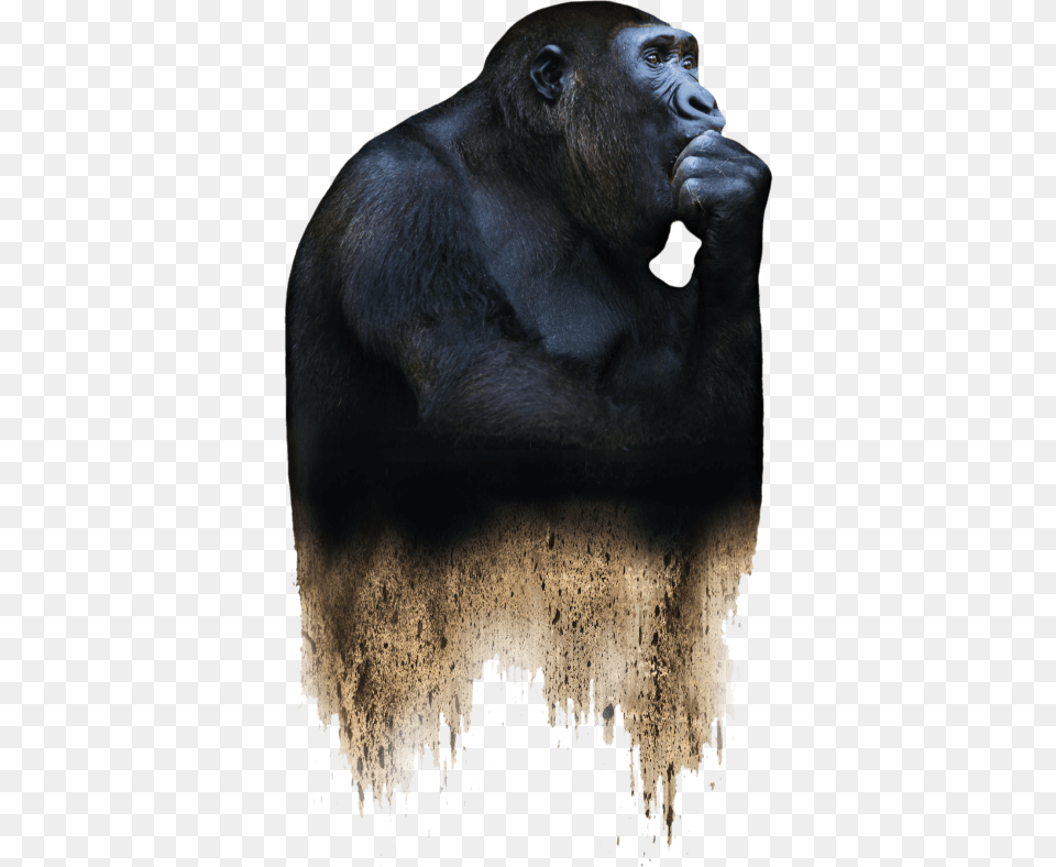 Extinction La Fin D Un Monde, Animal, Ape, Mammal, Wildlife Free Png