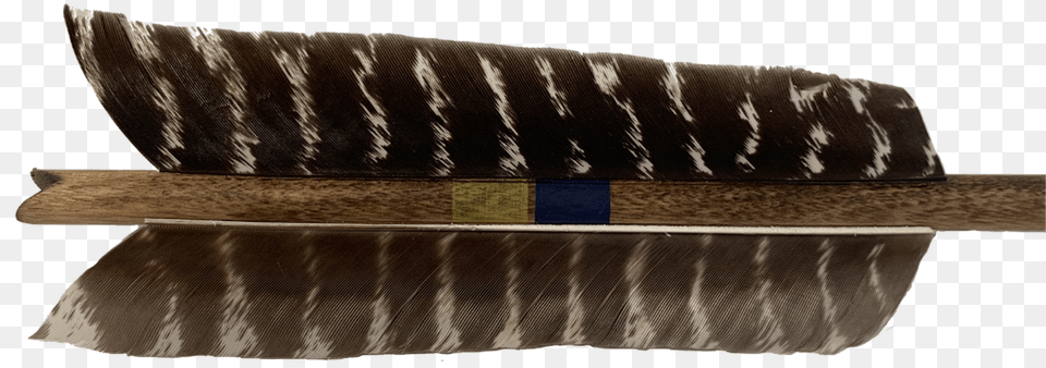 Extra Large 6 Inch Naturally Banded Feathers Scabbard, Brush, Device, Tool, Clothing Free Png Download
