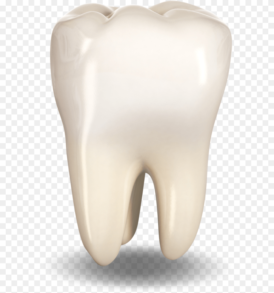 Extracted Tooth Bone, Body Part, Mouth, Person, Teeth Free Transparent Png