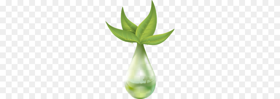 Extraction Droplet, Green, Leaf, Plant Free Transparent Png