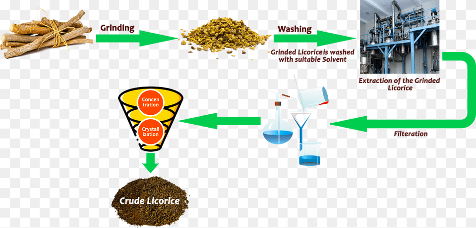 Extraction Of Licorice Diagram, Herbal, Herbs, Plant Free Png Download