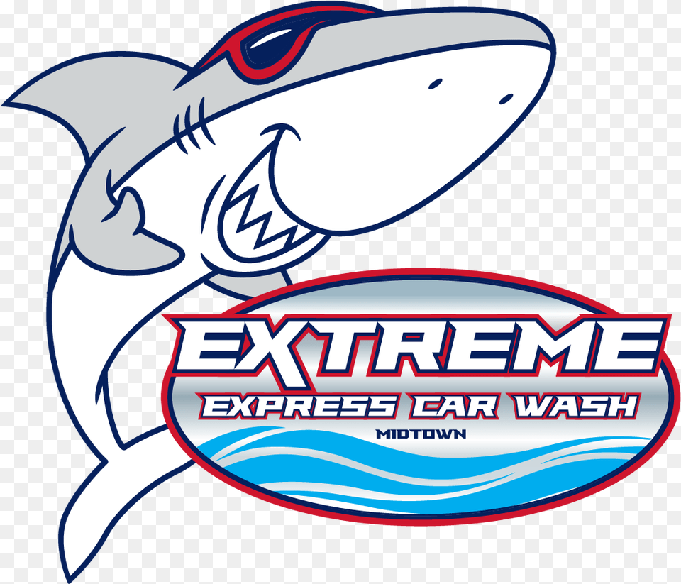 Extreme Express Car Wash San Jose California Shark Car Wash, Animal, Fish, Sea Life Png Image