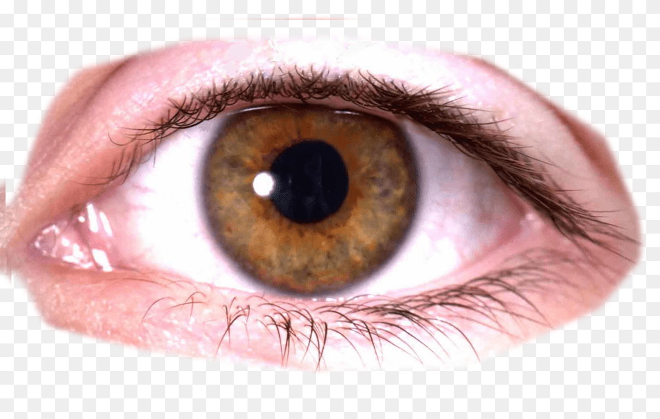 Eye, Contact Lens, Person, Face, Head Free Transparent Png