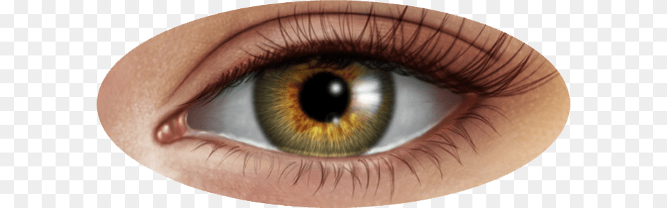 Eye, Baby, Contact Lens, Person Png Image