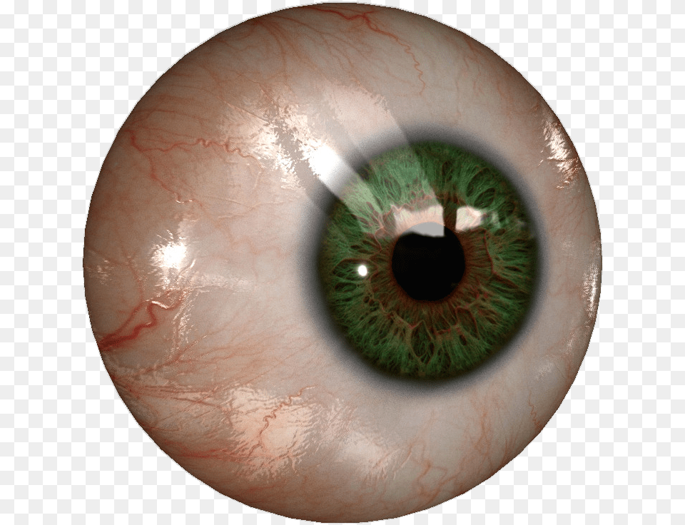 Eye, Person, Contact Lens, Accessories, Gemstone Free Png