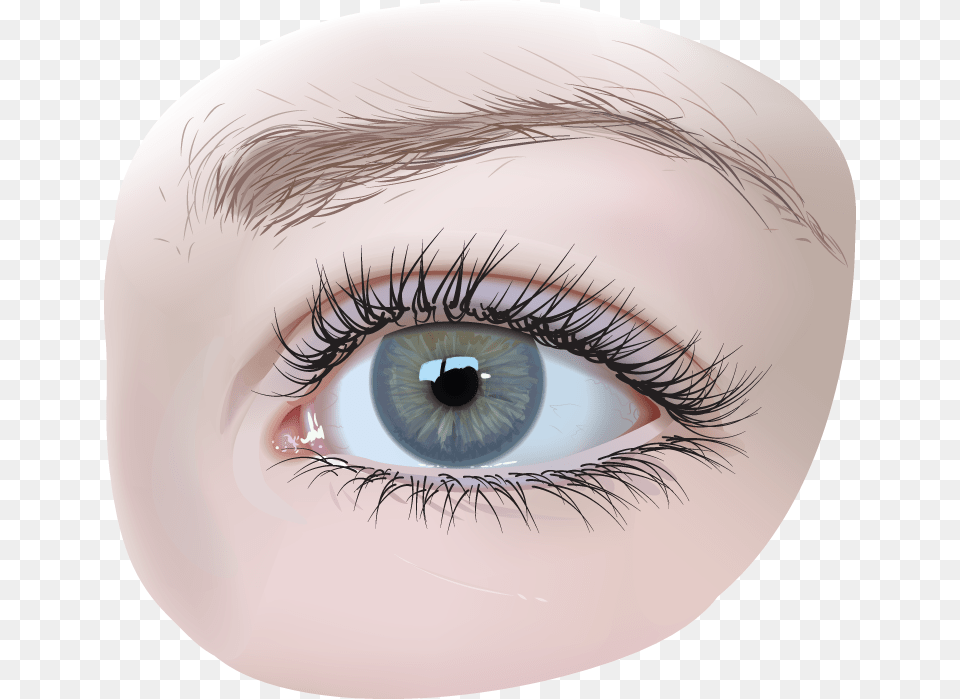 Eye, Baby, Person, Art Free Transparent Png