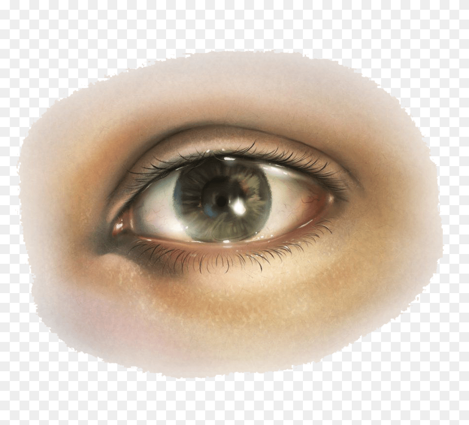 Eye, Baby, Person, Contact Lens, Face Png