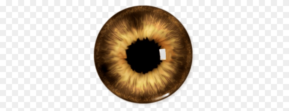 Eye, Cushion, Home Decor, Food, Sweets Free Transparent Png