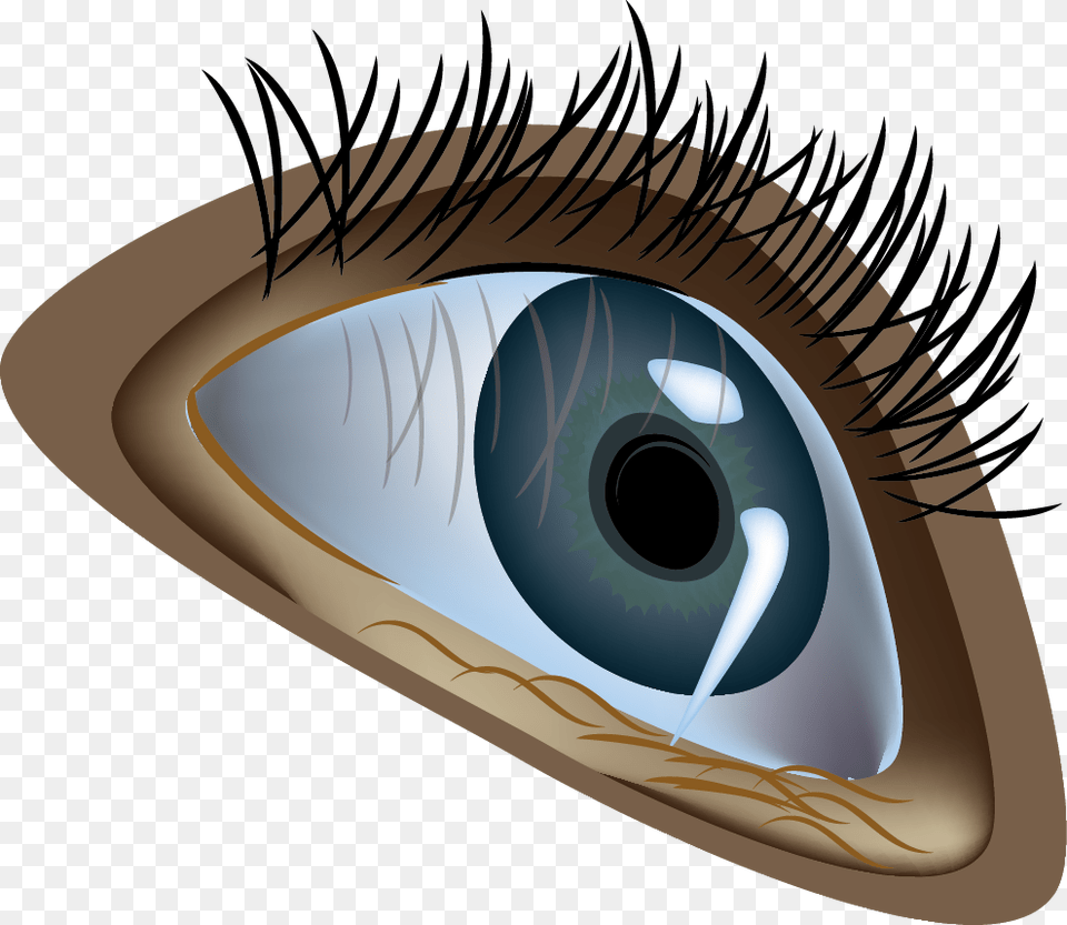 Eye, Contact Lens, Art Free Png