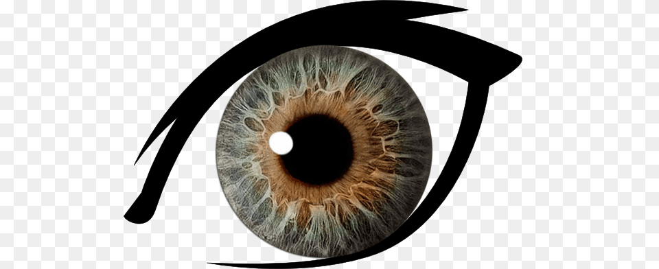 Eye, Astronomy, Moon, Nature, Night Free Png Download