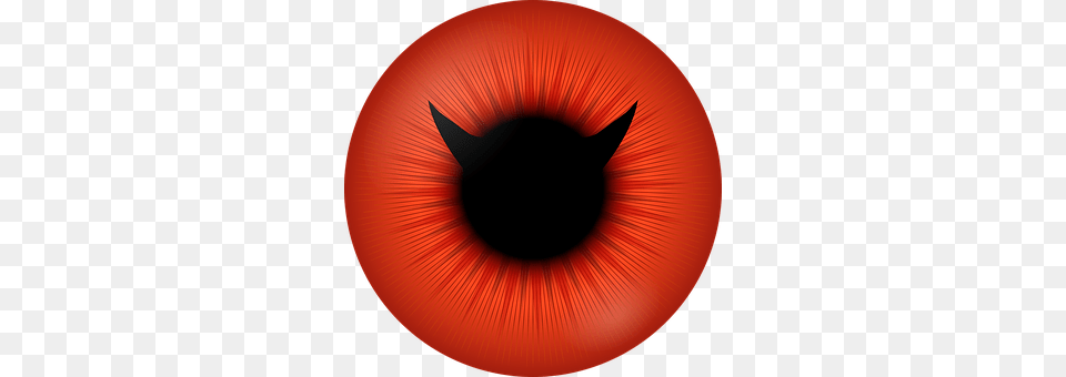 Eye Logo Free Png Download