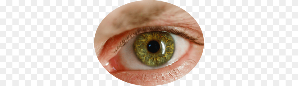 Eye, Contact Lens, Baby, Person Free Transparent Png