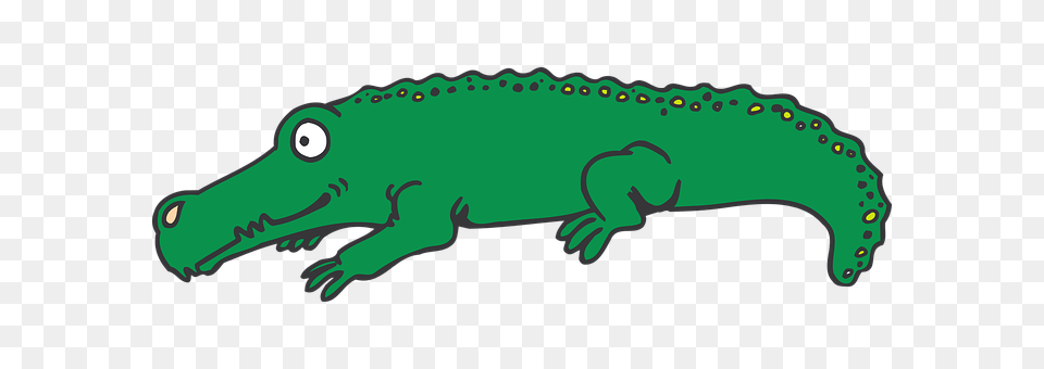Eye Animal, Crocodile, Reptile Png Image