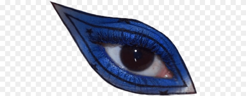 Eye Bluepng Aesthetic Moodboard Blue, Animal, Fish, Sea Life, Shark Png Image