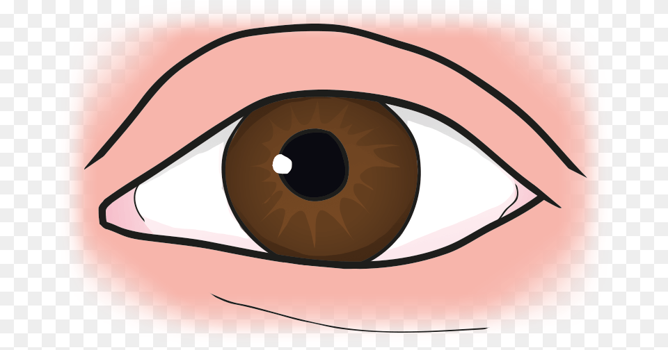 Eye Cartoon, Art, Contact Lens Free Png Download