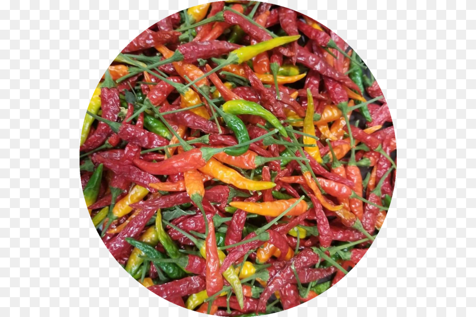 Eye Chili, Food, Pepper, Plant, Produce Free Png