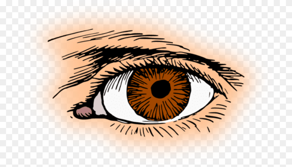 Eye Clipart, Person, Contact Lens, Art, Drawing Free Transparent Png