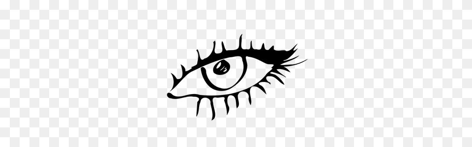 Eye Clipart, Gray Free Transparent Png