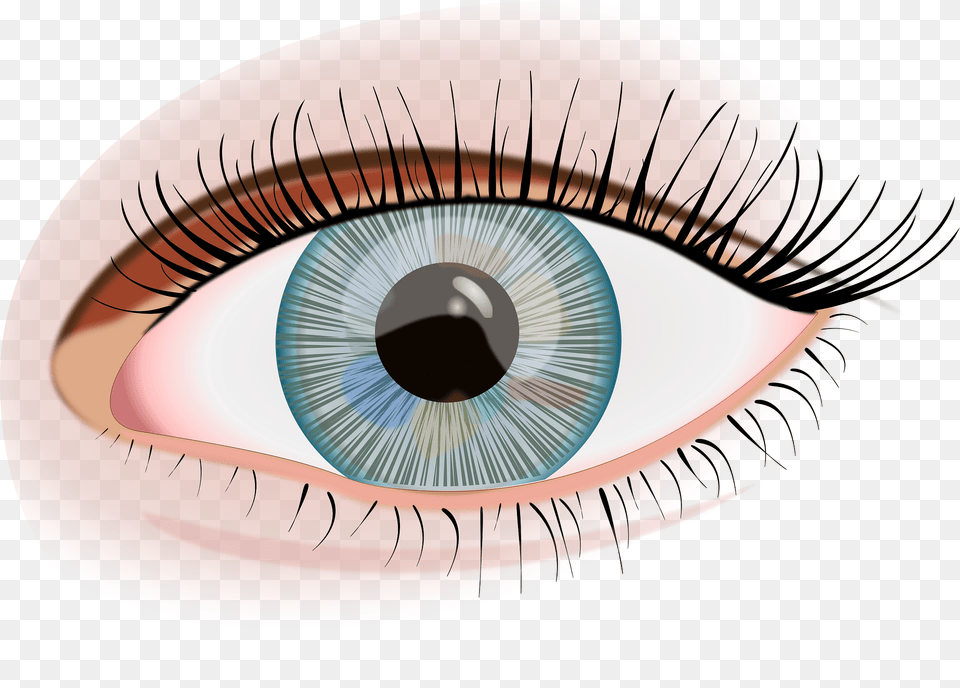 Eye Clipart, Art, Drawing, Plate, Contact Lens Free Transparent Png