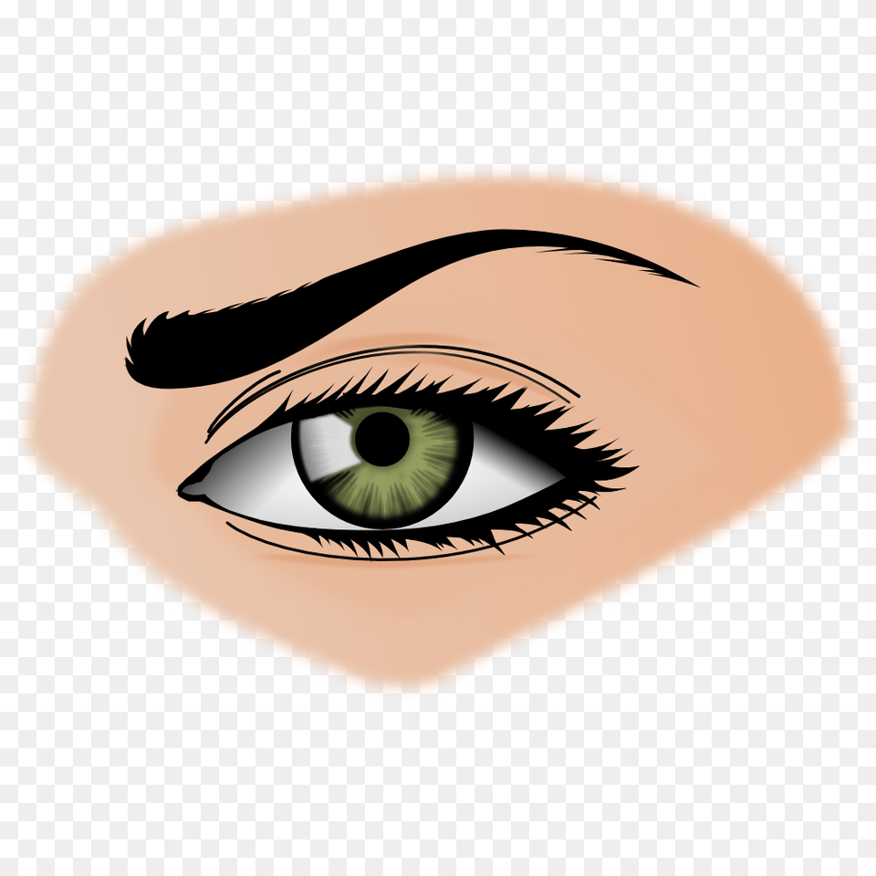 Eye Clipart, Person, Face, Head, Contact Lens Png Image