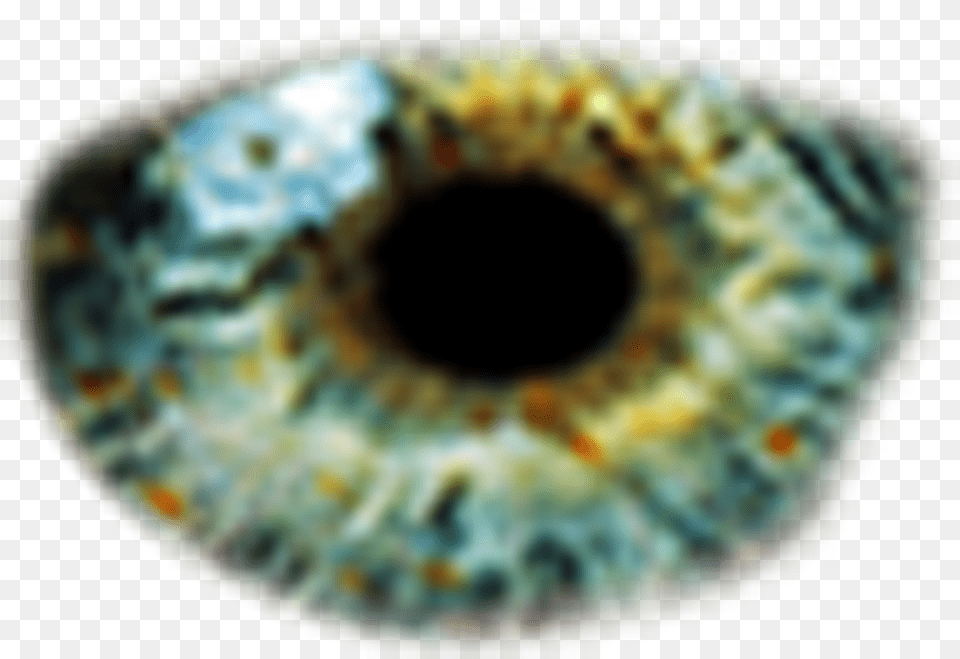 Eye Color Green Eye Png