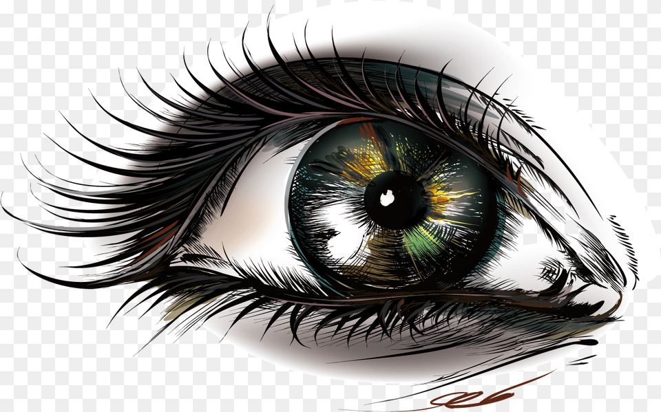 Eye Euclidean Vector Eyes, Art, Drawing Free Png Download