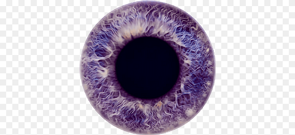 Eye Eyecolor Purple Violet Lavender Color Iris Violet Eyes Background, Accessories, Gemstone, Jewelry, Ornament Free Png