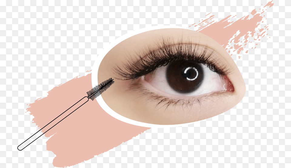 Eye Eyelash Extensions, Adult, Female, Person, Woman Png