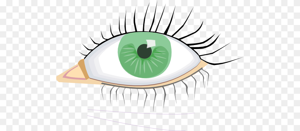 Eye Eyelashes Eye Clip Art, Drawing, Chandelier, Lamp Png
