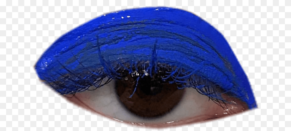 Eye Eyes Blue Aesthetic Makeup Freetoedit Eye Shadow, Cosmetics, Adult, Female, Person Free Transparent Png