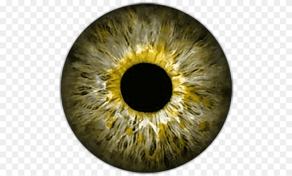 Eye Eyes Eyeball Eyeballs Red Eye Lens, Hole, Accessories, Astronomy, Moon Free Png