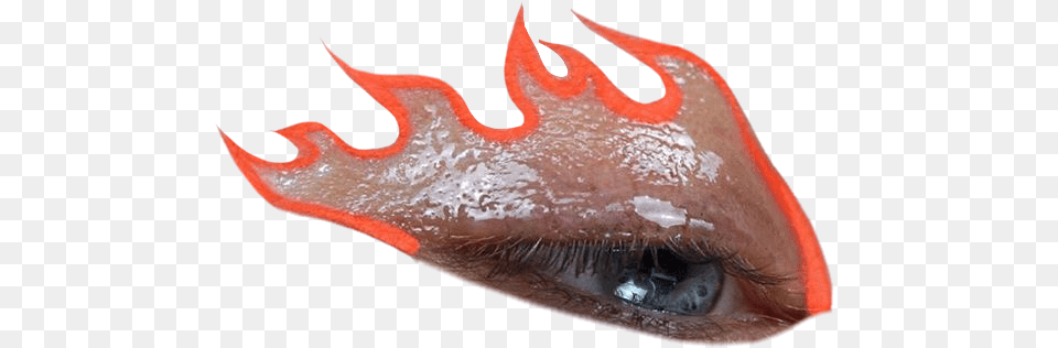 Eye Eyes Orange Flames Aesthetic Makeup Vampire Bat, Animal, Beak, Bird, Electronics Free Png